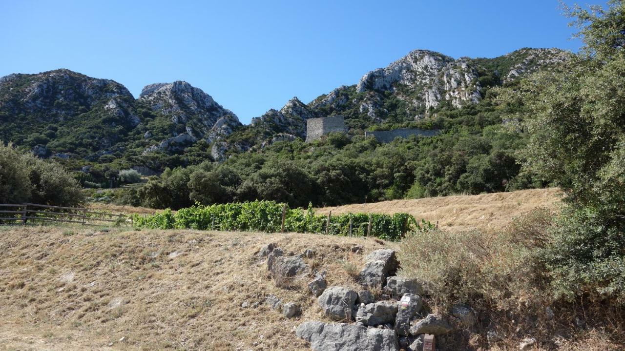 Les Lavandins-Gite Frederic Saint-Remy-de-Provence Exterior photo
